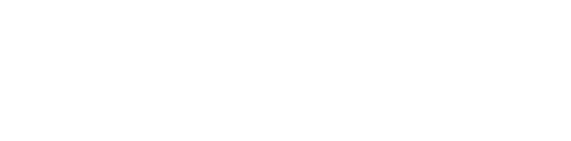 https://insomnihack.ch/app/uploads/2026/02/Flare-Logo-White-1-1.png